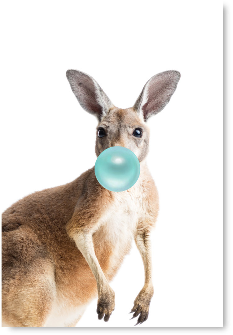 posters gifts poster Be Free prints gift print Animal wall art Kangaroo